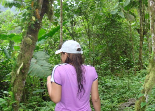 Bosque tropical de la Comuna San Pablo